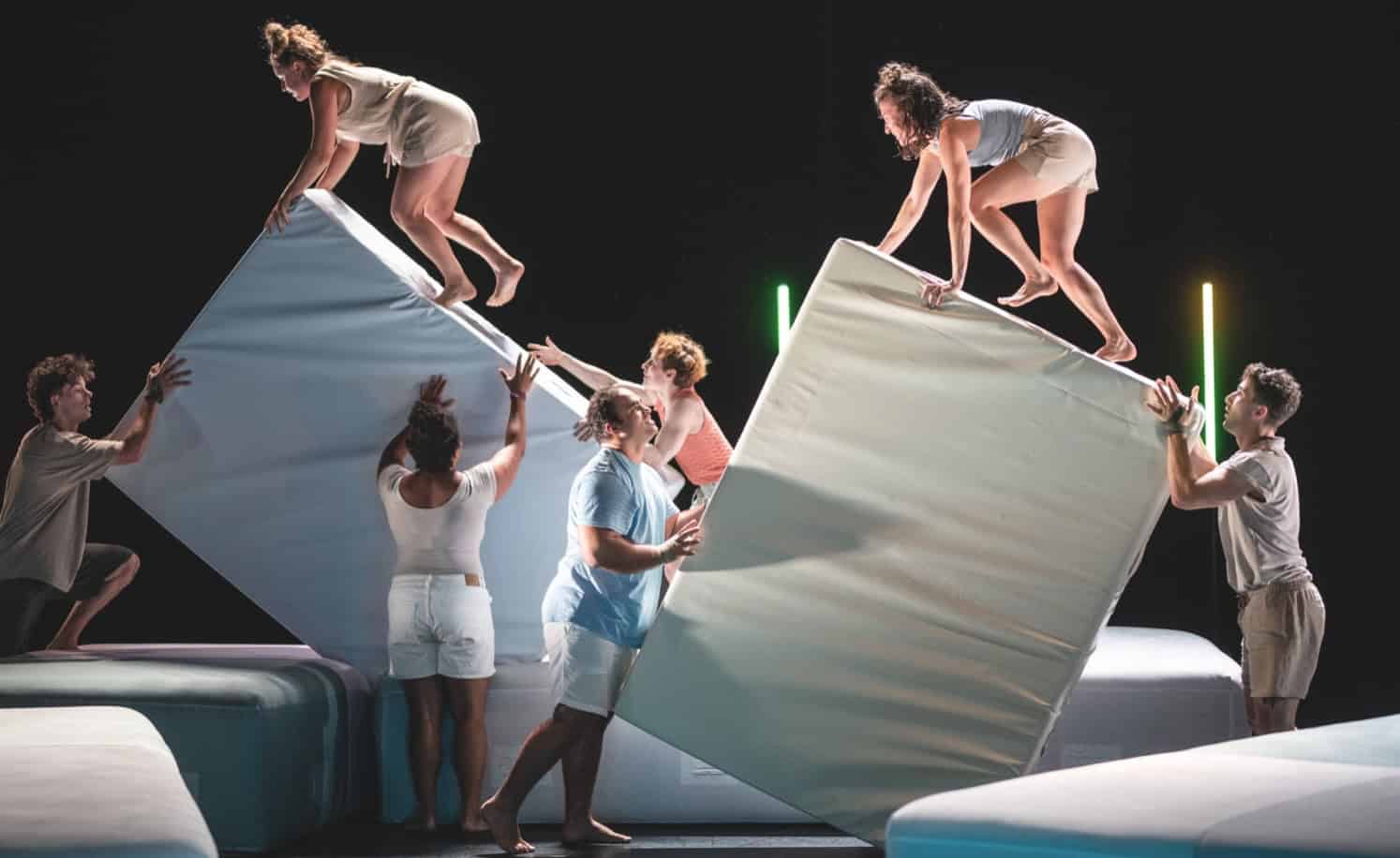 This is not a circus 2024 - Circuspunt