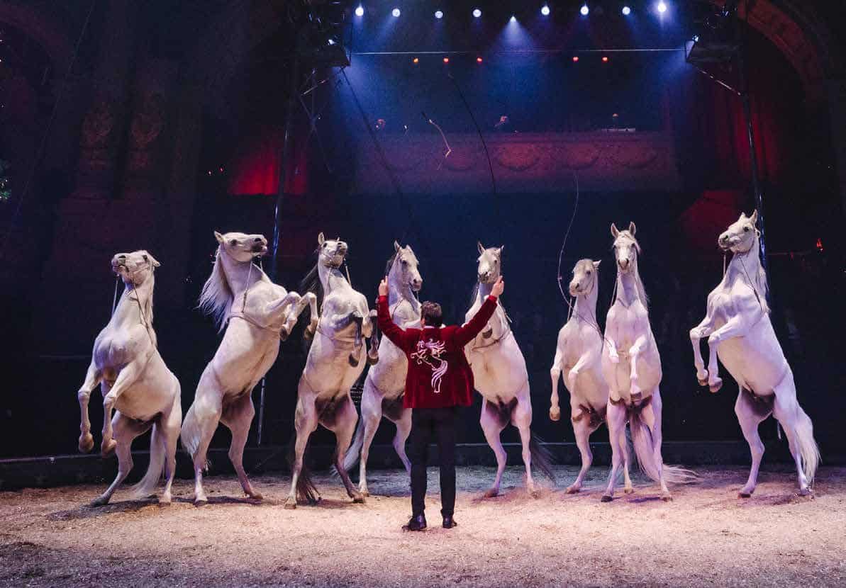 Kinderen van een jeugdcircus op een ladder tijdens een voorstelling